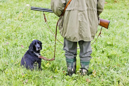 hunting dog with hunter