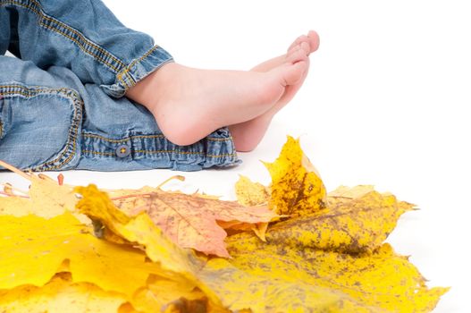 Shot of toddler playing with muple leaves in studio