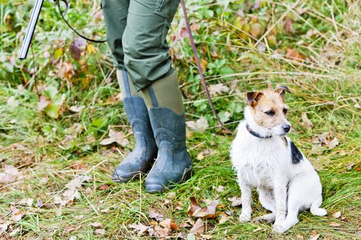 hunting dog with hunter
