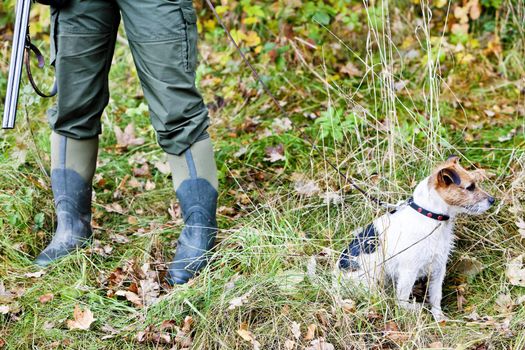 hunting dog with hunter