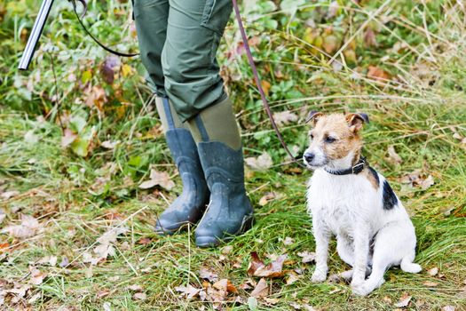 hunting dog with hunter