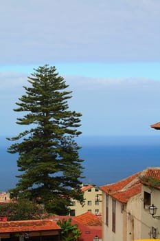 View to the sea in La Orotava, Tenerife