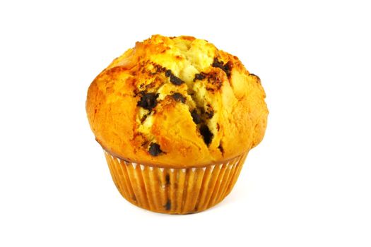 Muffin Baked and Isolated on a White Background