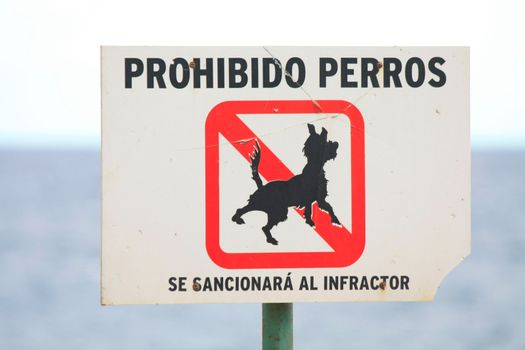 A Spanish sign, no dogs allowed, a fine will follow immediately