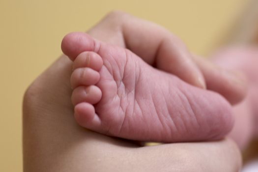 hand holding baby''s foot