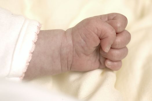 baby''s hand