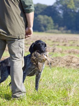 hunting dog with a catch
