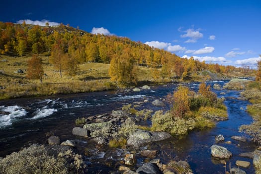 landscape of Southern Vestlandet, Norway