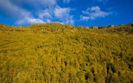 landscape of Southern Vestlandet, Norway