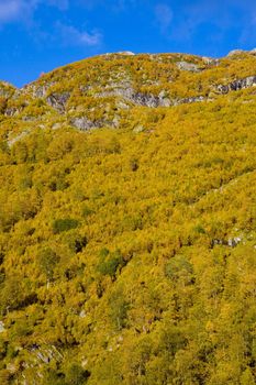 landscape of Southern Vestlandet, Norway