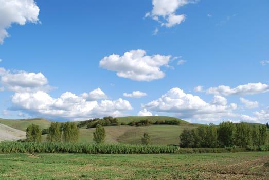 Topycal Tuscan landscape with hills, vineyards, cypresses during the autumn