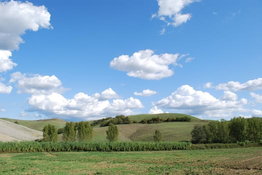 Topycal Tuscan landscape with hills, vineyards, cypresses during the autumn