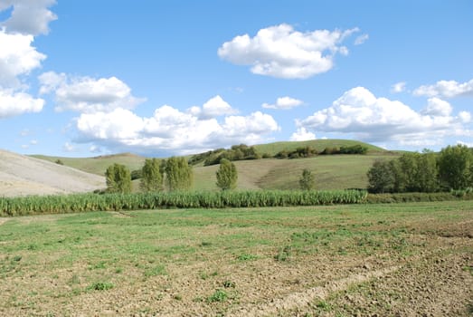 Topycal Tuscan landscape with hills, vineyards, cypresses during the autumn