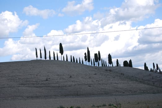 Topycal Tuscan landscape with hills, vineyards, cypresses during the autumn