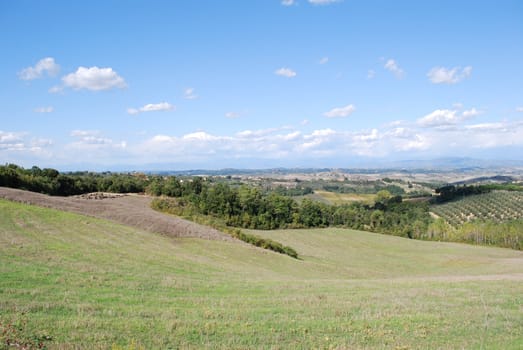 Topycal Tuscan landscape with hills, vineyards, cypresses during the autumn