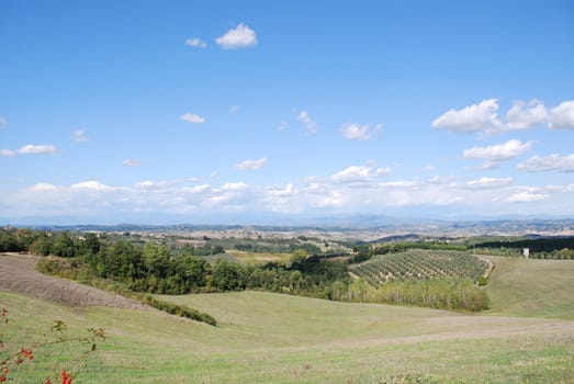 Topycal Tuscan landscape with hills, vineyards, cypresses during the autumn