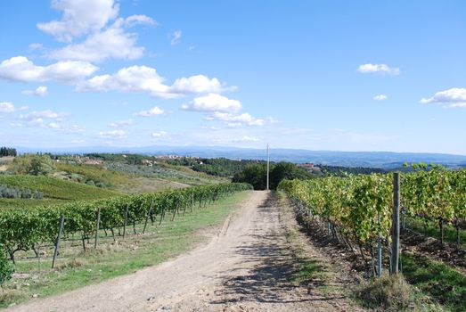 Topycal Tuscan landscape with hills, vineyards, cypresses during the autumn