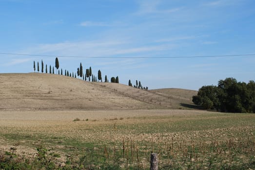 Topycal Tuscan landscape with hills, vineyards, cypresses during the autumn