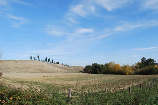 Topycal Tuscan landscape with hills, vineyards, cypresses during the autumn