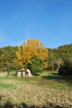 Topycal Tuscan landscape with hills, vineyards, cypresses during the autumn