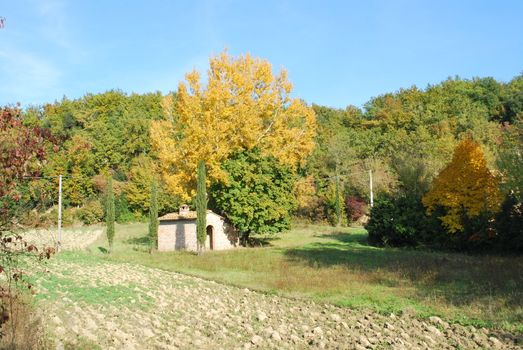 Topycal Tuscan landscape with hills, vineyards, cypresses during the autumn