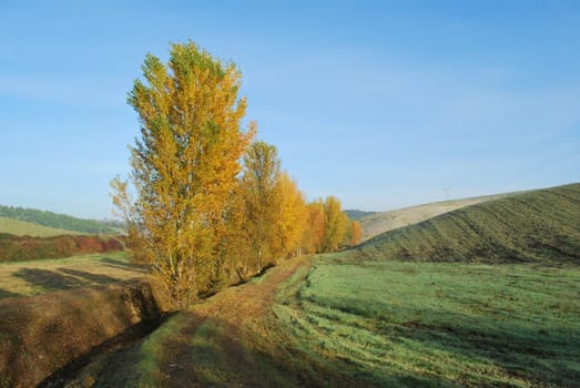 Topycal Tuscan landscape with hills, vineyards, cypresses during the autumn