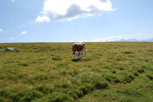 Italian Alpen landscape during summer