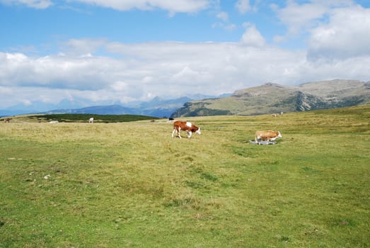 Italian Alpen landscape during summer