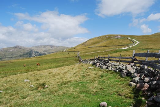 Italian Alpen landscape during summer