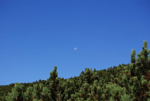 Italian Alpen landscape during summer