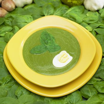 cream spinach soup