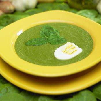 cream spinach soup