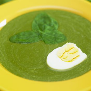 cream spinach soup