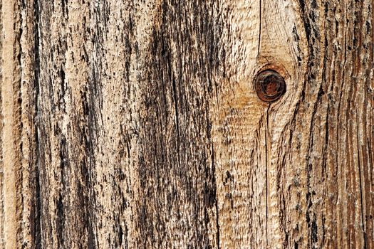 Detail of the wood texture with nob - abstract