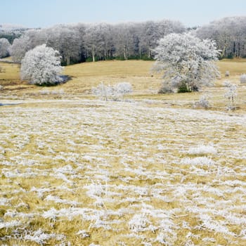 nature in winter, D�partement du Tarn, France