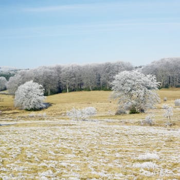 nature in winter, D�partement du Tarn, France