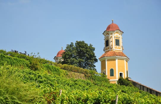 Vineyard at Castle Stainz, Styria, Austria