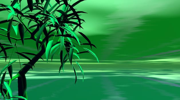 Bamboo tree in deep green background