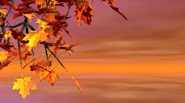 Close up of maple leaves in autumn with orange and brown sky behind