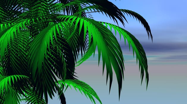 Palm tree leaves and blue violet sky