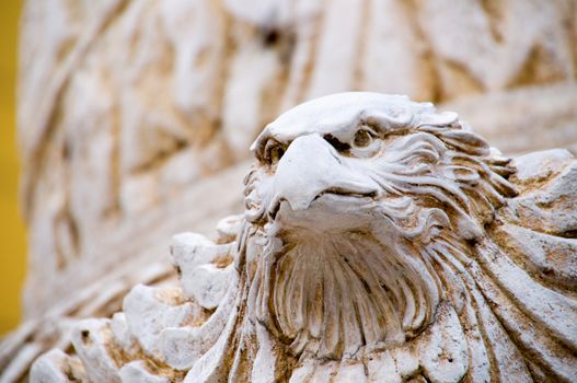 The detail of the eagle staturay head