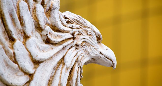 The detail of the eagle staturay head
