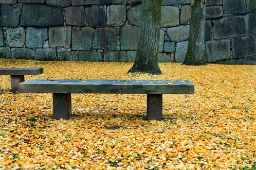 The view of seat with fallen leafs in garden