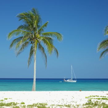 Maria la Gorda Beach, Pinar del Rio Province, Cuba