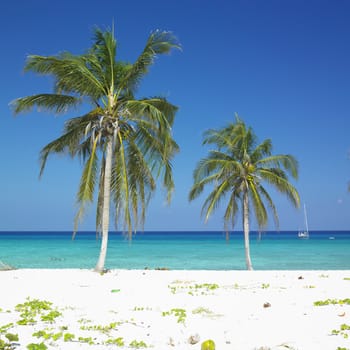 Maria la Gorda Beach, Pinar del Rio Province, Cuba