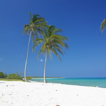 Maria la Gorda Beach, Pinar del Rio Province, Cuba