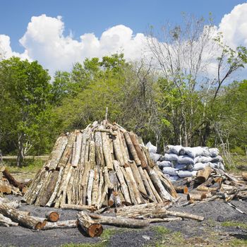 charcoal pile, Pinar del Rio Province, Cuba