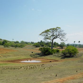 Pinar del Rio Province, Cuba