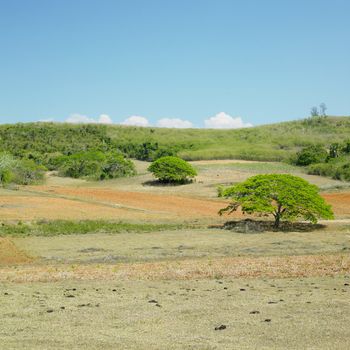 Pinar del Rio Province, Cuba