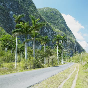 Vinales Valley, Pinar del Rio Province, Cuba